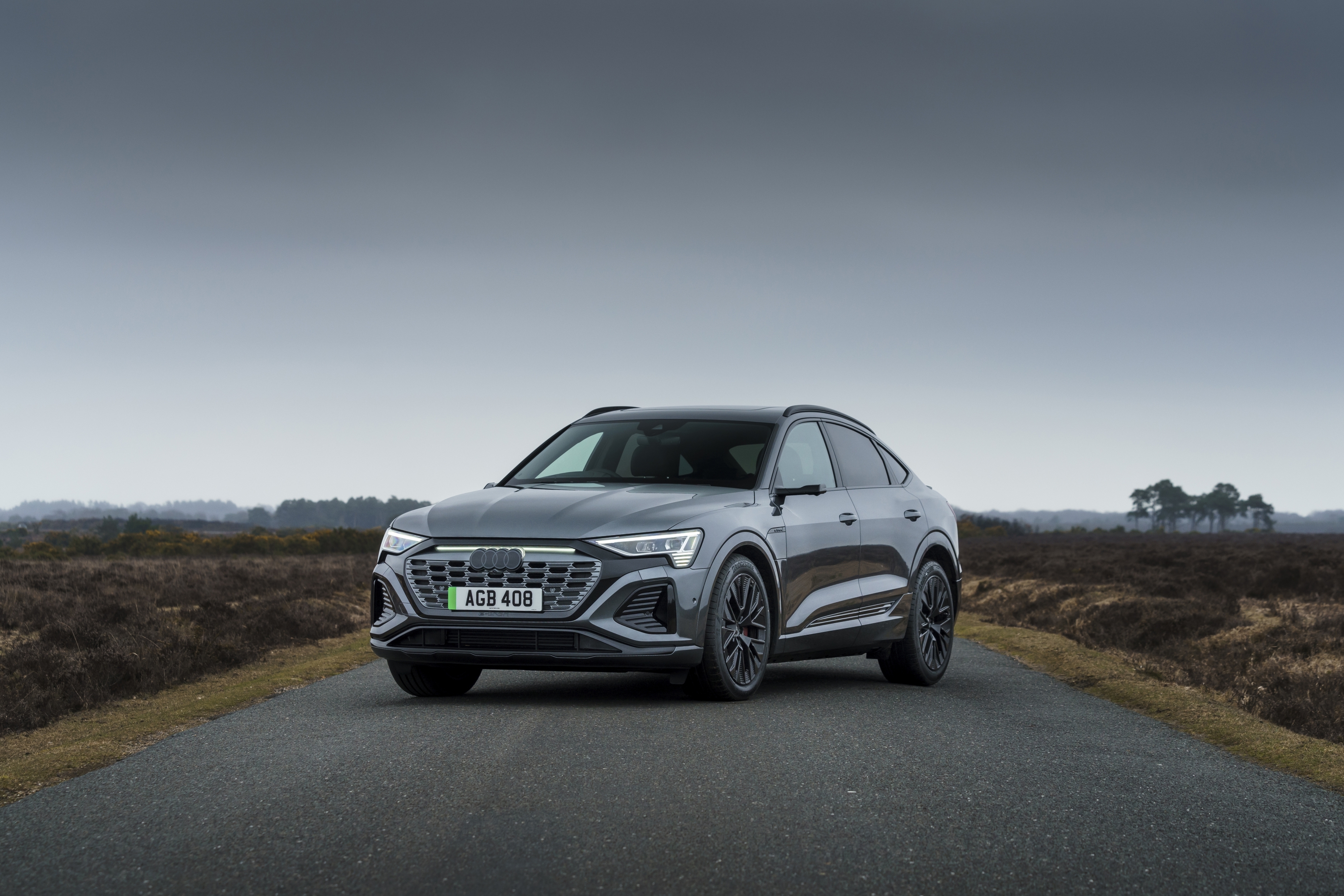 Audi Q8 e-tron (Sportback)